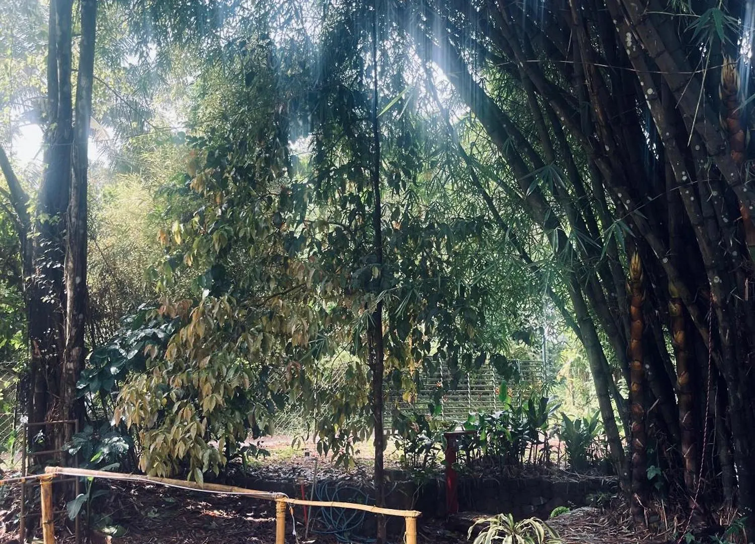 Bamboo Heritage Vythiri 0*,