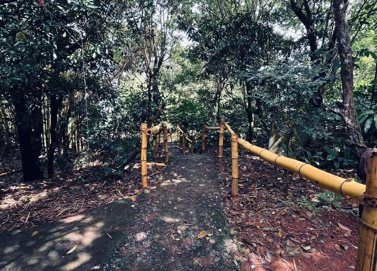 Bamboo Heritage Vythiri