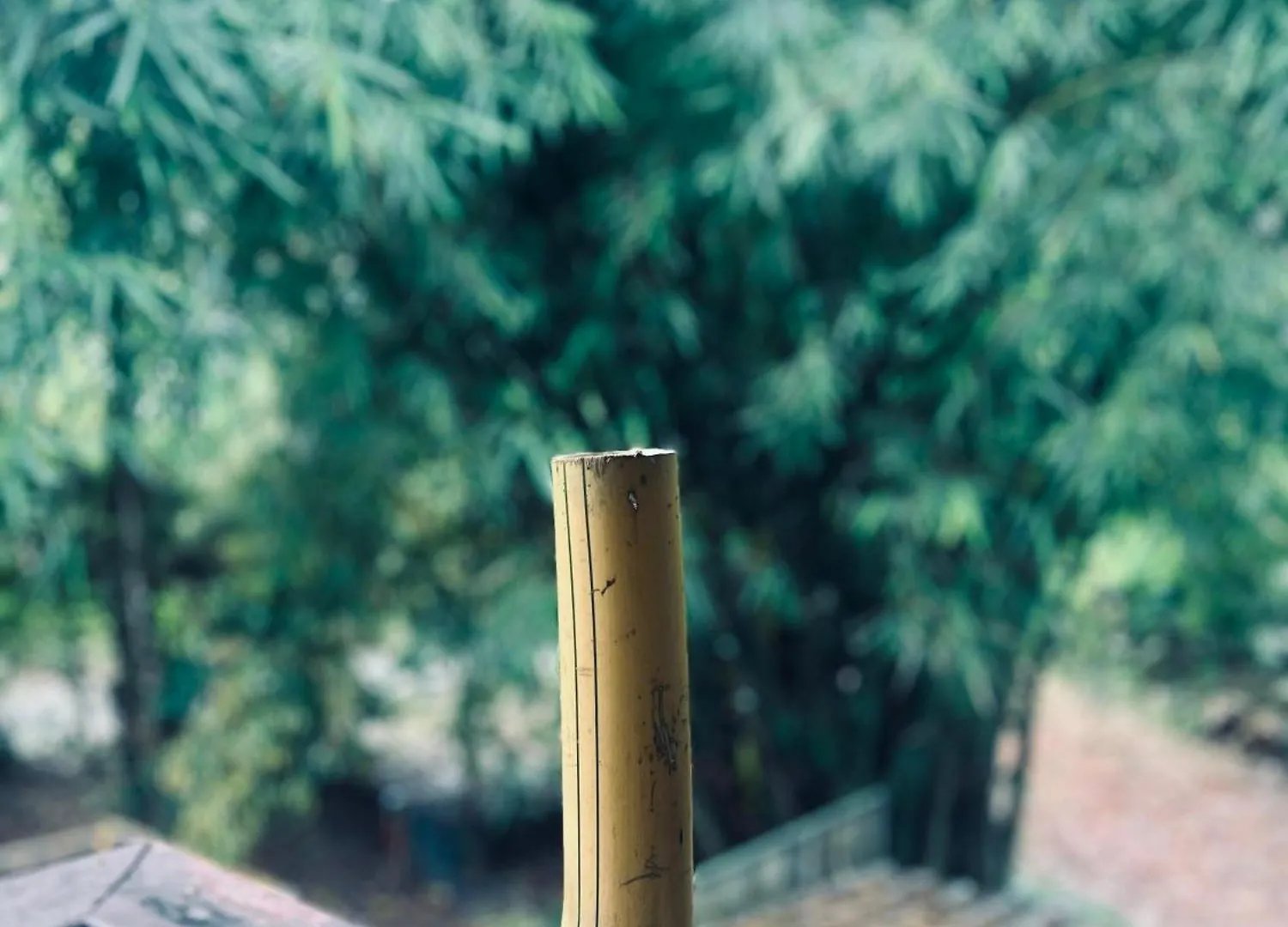 Bamboo Heritage Vythiri 0*,